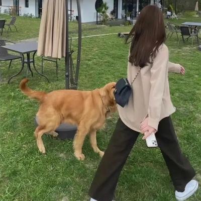 花儿与少年·好友记