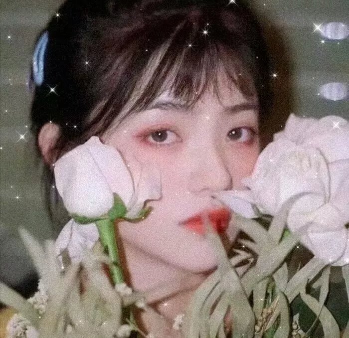 天元突破剧场版：红莲篇