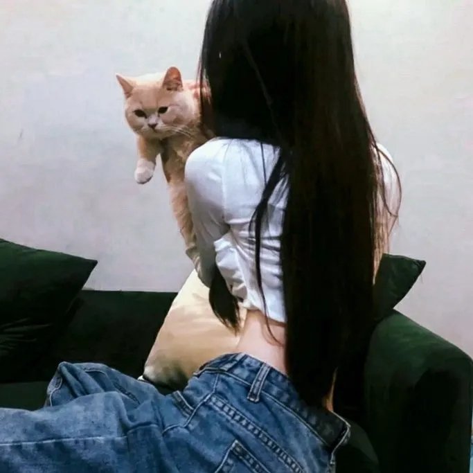 震憾大阴谋